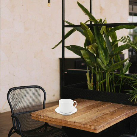 Чайная пара фарфоровая 280см³ "Капучино" в коробке